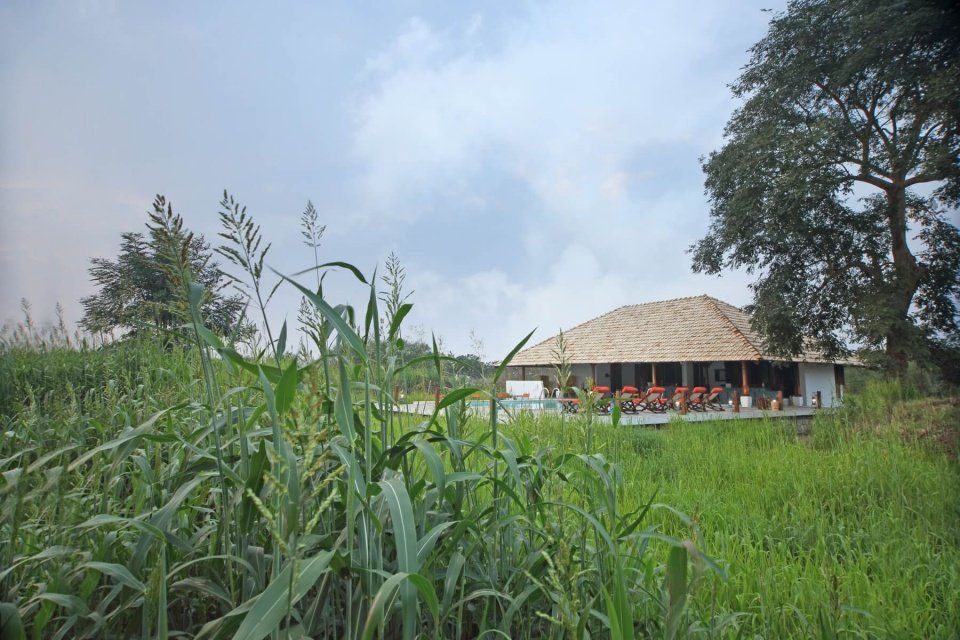 Best of wildlife at Svasara Jungle Lodge, Tadoba