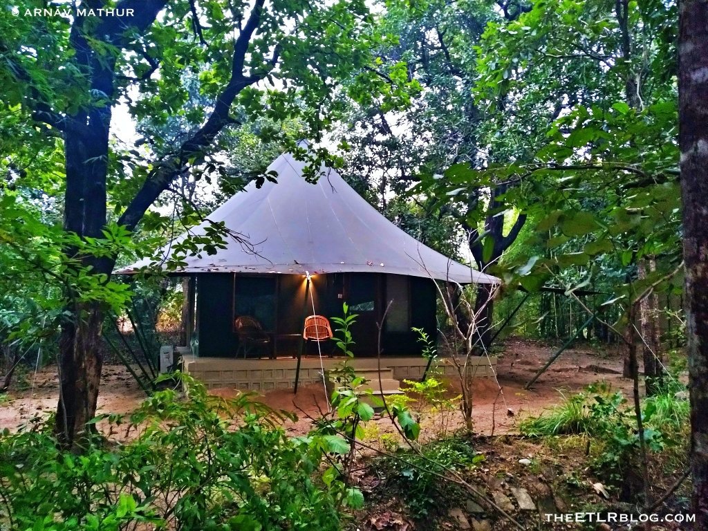 Trip to Pench Jungle Camp India – Safari Tents