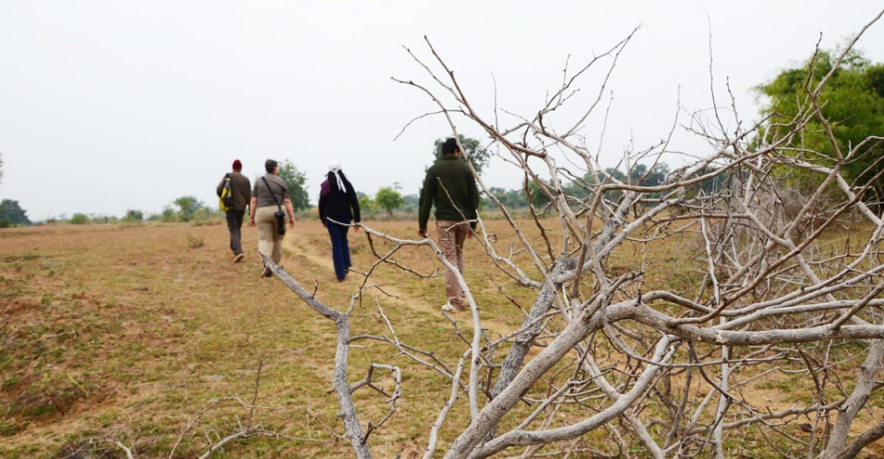 Best of wildlife at Svasara Jungle Lodge, Tadoba