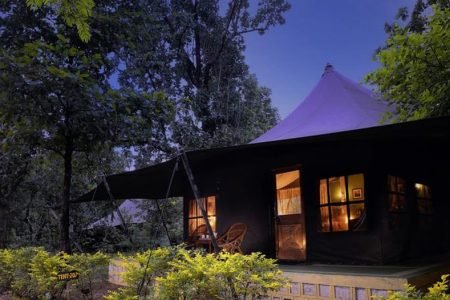 Trip to Pench Jungle Camp India – Safari Tents